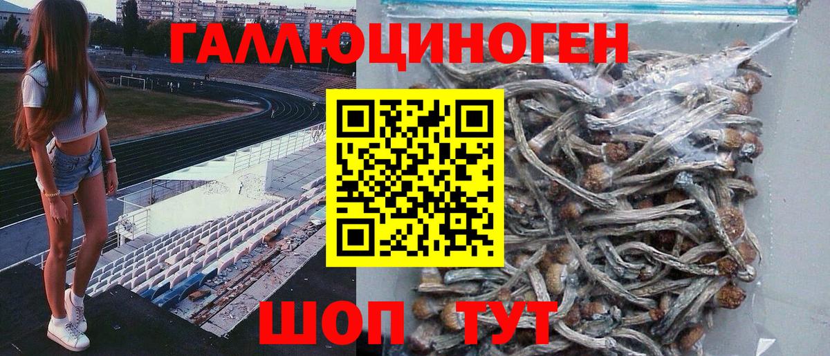 Псилоцибиновые грибы мухоморы  купить  сайты  Карасук 