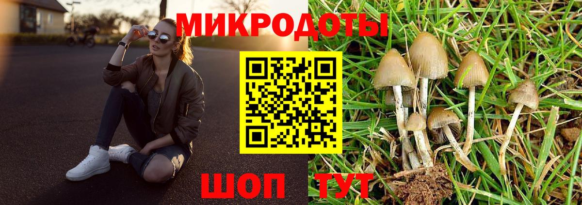 Карасук  Галлюциногенные грибы MAGIC MUSHROOMS  Галлюциногенные грибы Psilocybine cubensis  Вход с VPN 