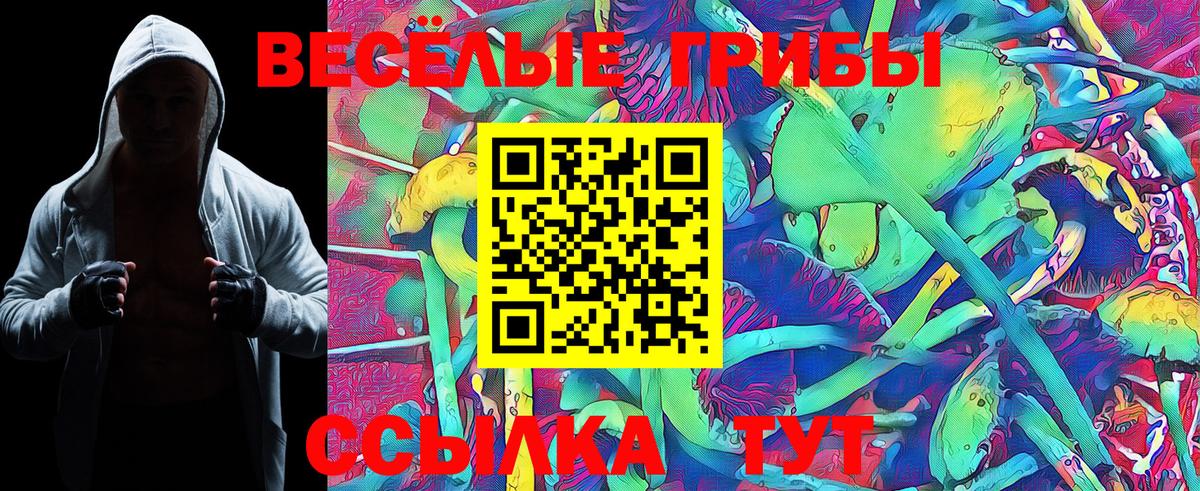 Галлюциногенные грибы прущие грибы Карасук