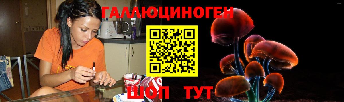 Псилоцибиновые грибы Cubensis Карасук